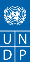 ՄԱԿ-ի զարգացման ծրագիր (UNDP)